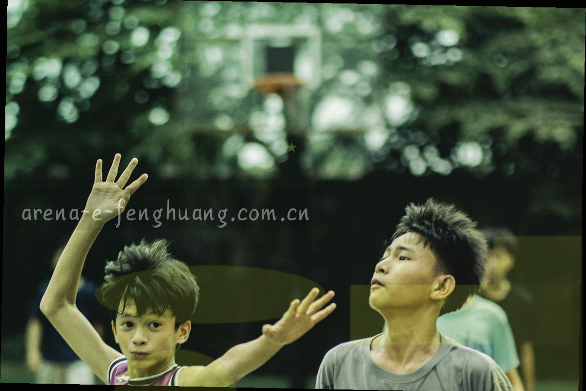排列整齐的档案夹与橙红色编号标签，分别标注不同内容阶段